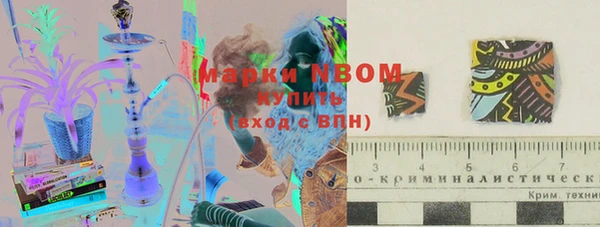 индика Балахна