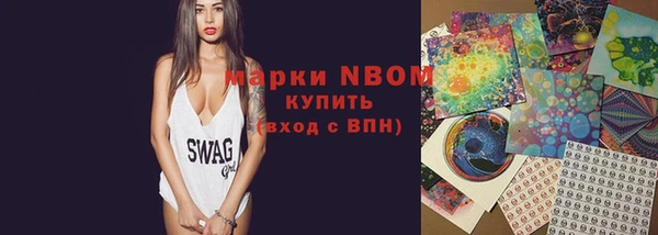 индика Балахна
