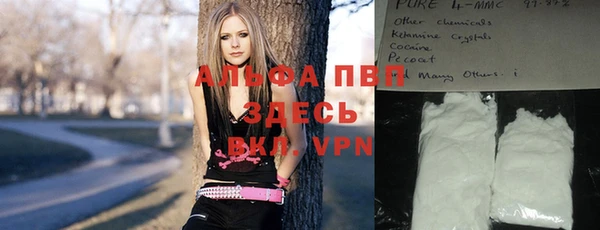 индика Балахна