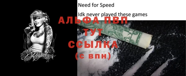 индика Балахна