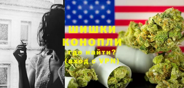 индика Балахна